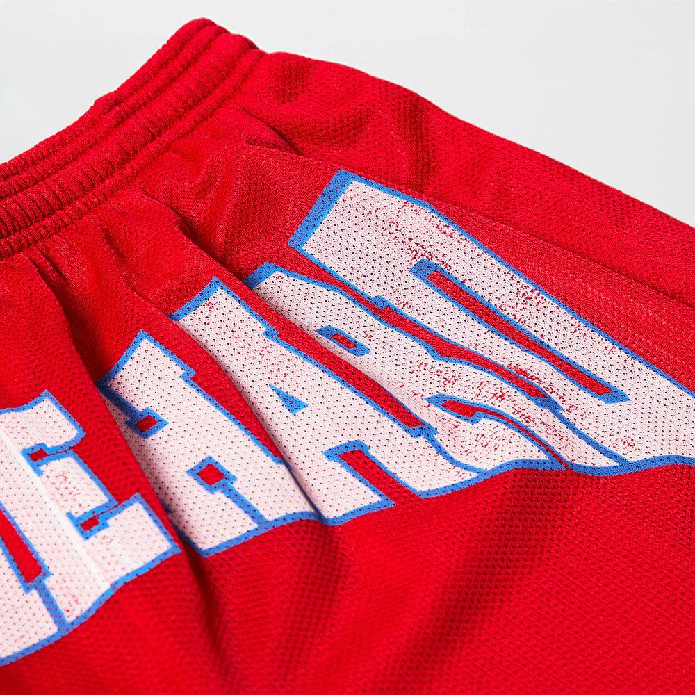 Hit Me Hard And Soft Mesh Shorts - Image 3
